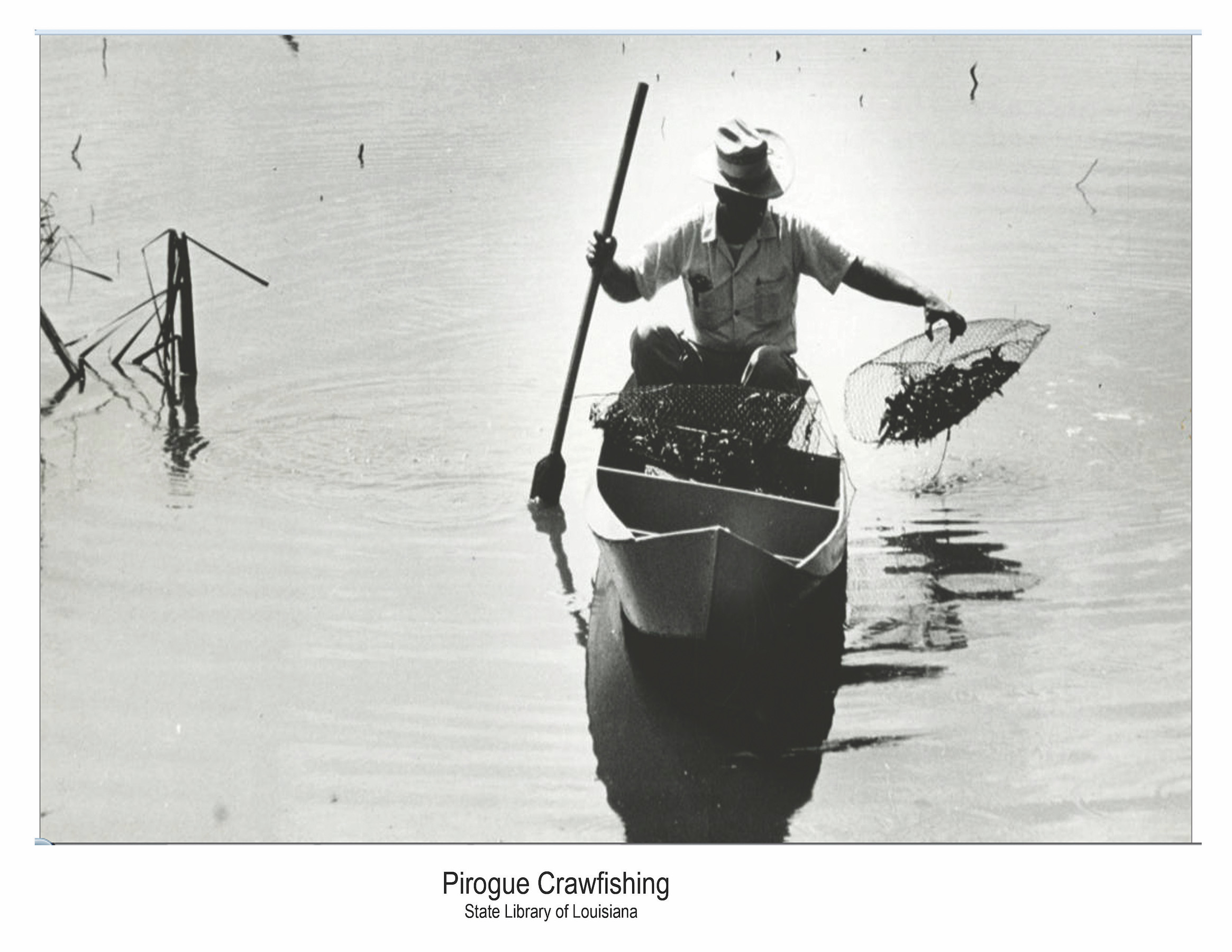 History of Rowing and Paddling photo