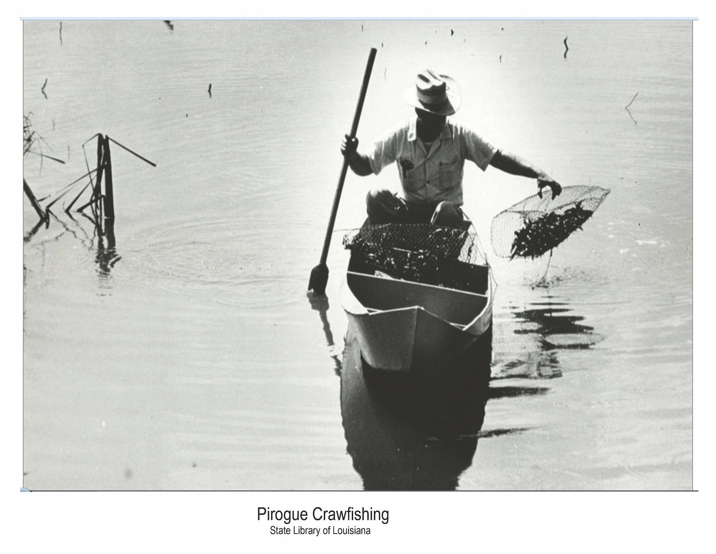 History of Rowing and Paddling picture