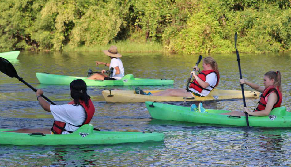 Explore the Bayou!